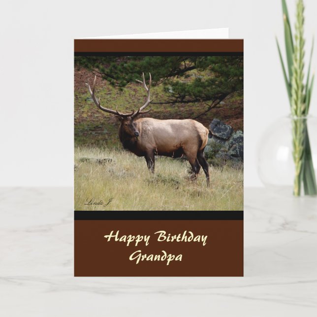 Cartão Elk na Selva (Frente)