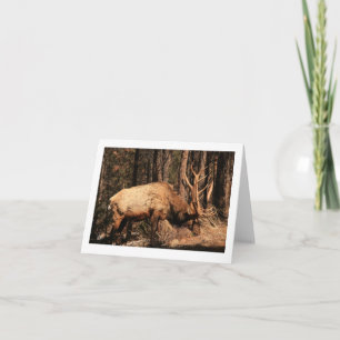 Cartão Elk notecard