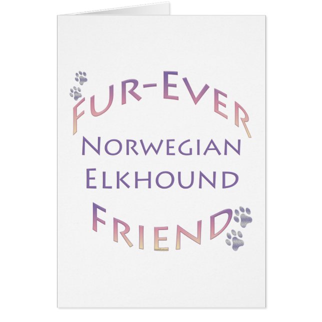 Cartão Elkhound Fuere Norueguês (Frente)