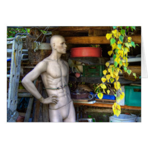 Cartão Ellis Garden III