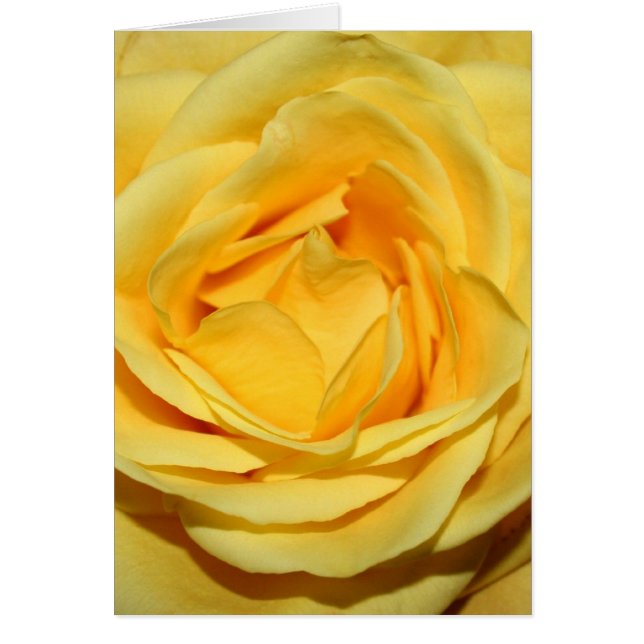 Cartão ellowrosecard (Frente)