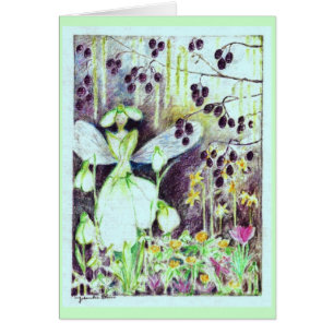 Cartão Elve "Galanthus " de Snowdrop