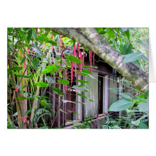 Cartão Elvis Presley Bungalow