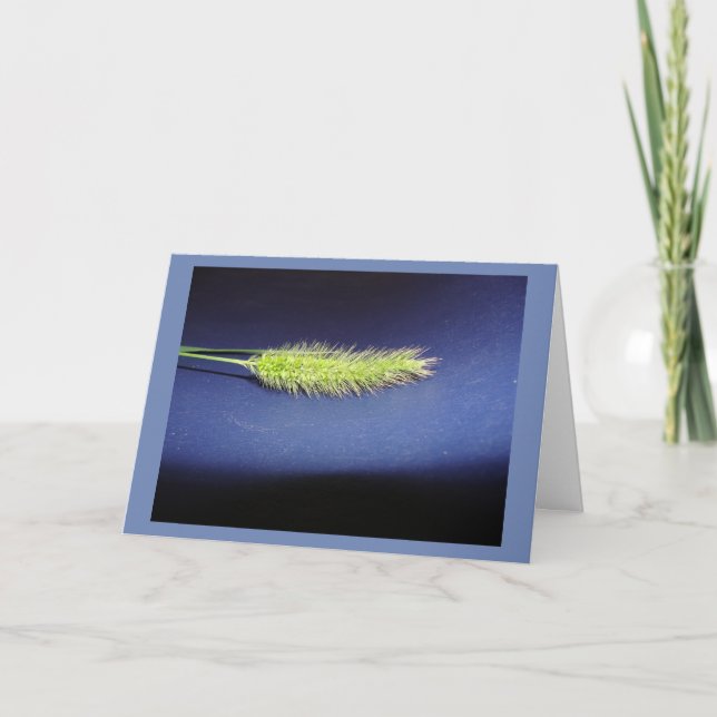 Cartão Em branco (Frente)