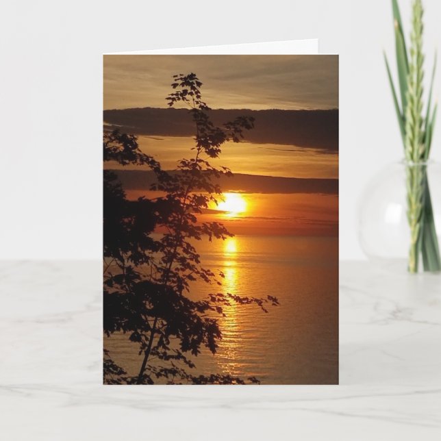 Cartão Em branco (Frente)