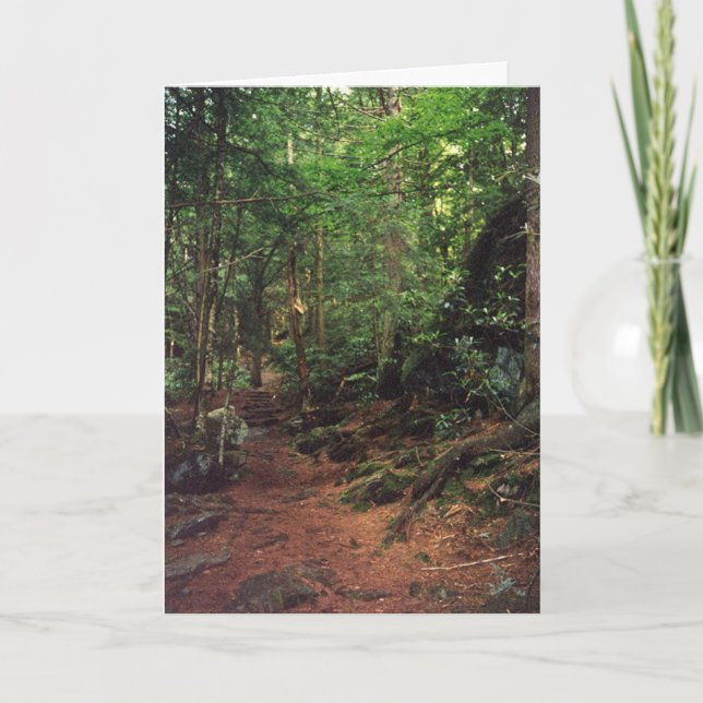 Cartão Em branco (Frente)