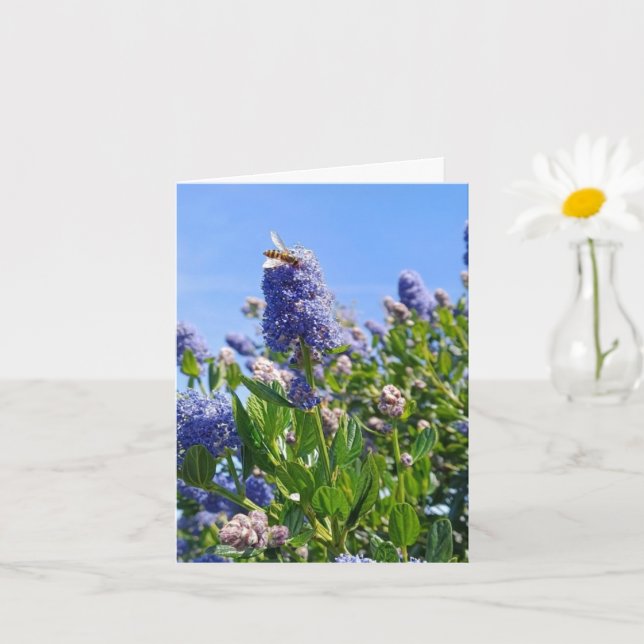 Cartão em branco com flores lilás (Planta pequena)