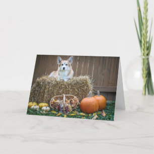 Cartão em branco de Corgi de Outono/Halloween