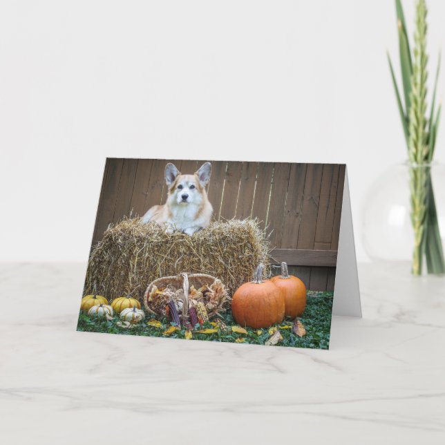 Cartão em branco de Corgi de Outono/Halloween (Frente)
