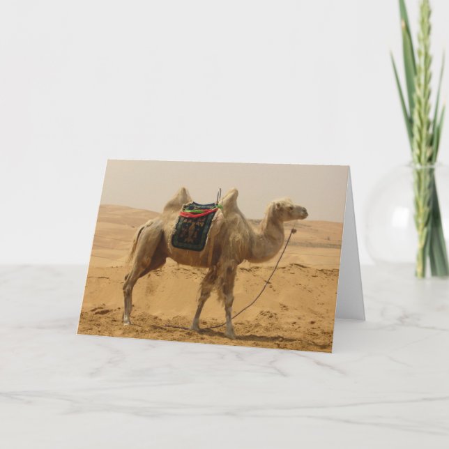 Cartão em Branco do Camelo do Deserto (Frente)
