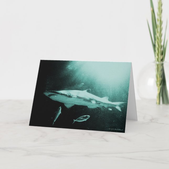 Cartão em branco do tubarão Mako (Frente)