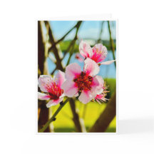 Cartão em Branco Flores de Primavera