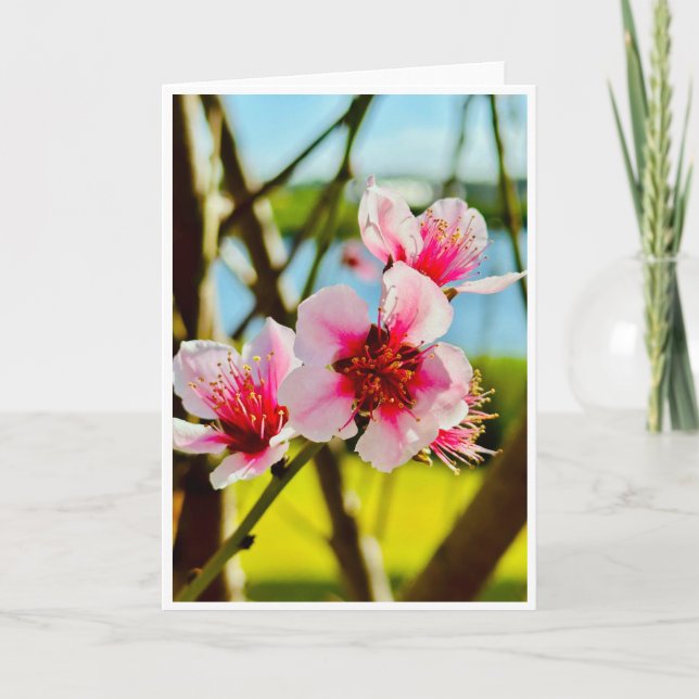 Cartão em Branco Flores de Primavera (Frente)