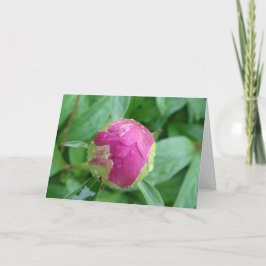 Cartão em Branco para Dar as Boas Vindas na Primav