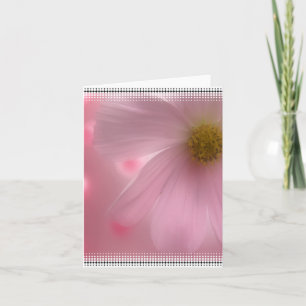 Cartão em Branco Rosa Daisy