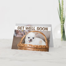 Em breve, cachorro chihuahua fofo na cesta