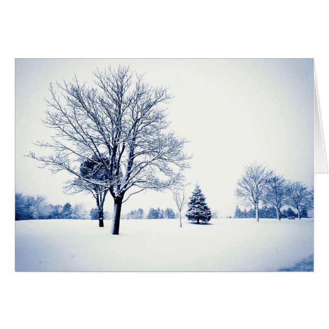Cartão Em Pé Na Neve (Frente Horizontal)