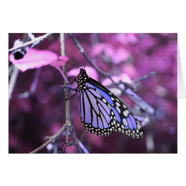 Cartão Em repouso (Frente Horizontal)