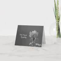 Em simpatia fotografia em preto e branco de rosa c