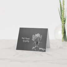 Em simpatia fotografia em preto e branco de rosa c