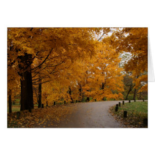 Cartão "Em torno da curvatura "