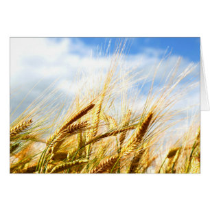 Cartão Em um Círculo Crop ao Sol