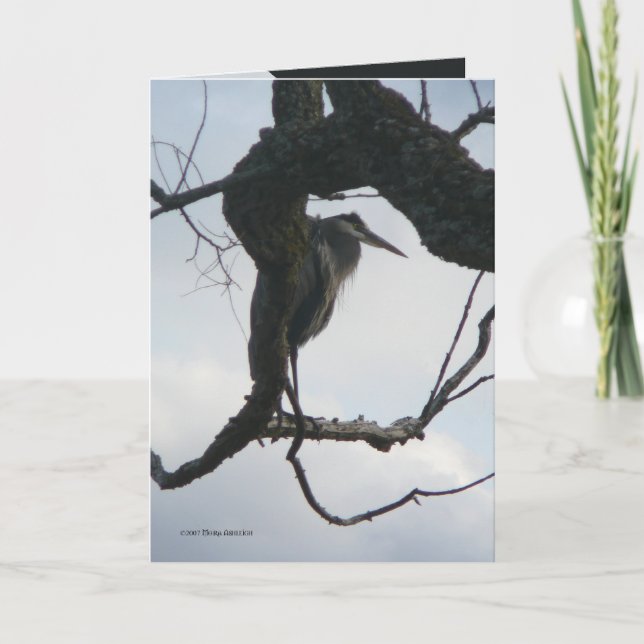 Cartão Em uma árvore (Frente)