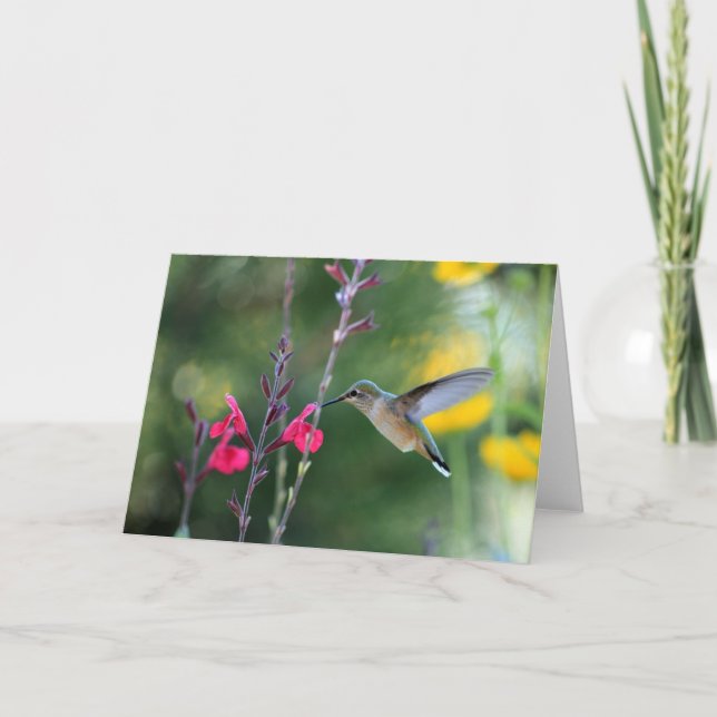 Cartão Em vôo (Frente)