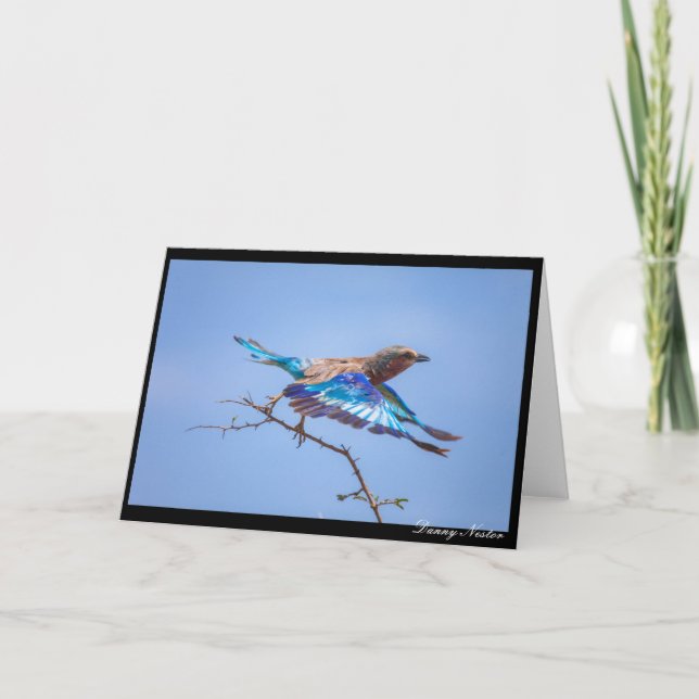 Cartão Em Voo (Frente)