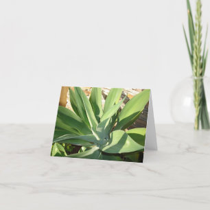 Cartão Embebendo acima o Sun