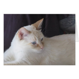 Cartão Ember sereno