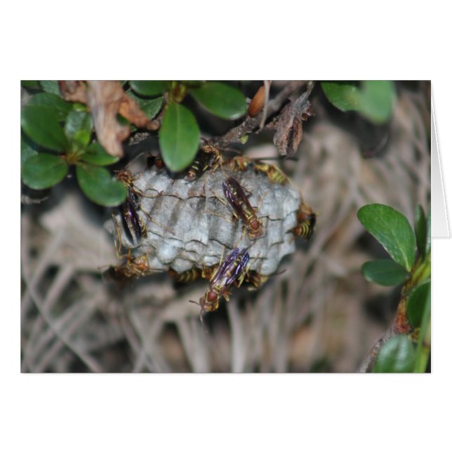 Cartão Empilhadores #2 (Frente Horizontal)