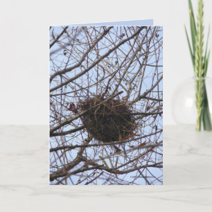 Cartão Empty Nest