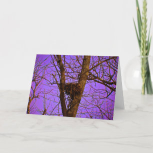 Cartão Empty Nest Note Card