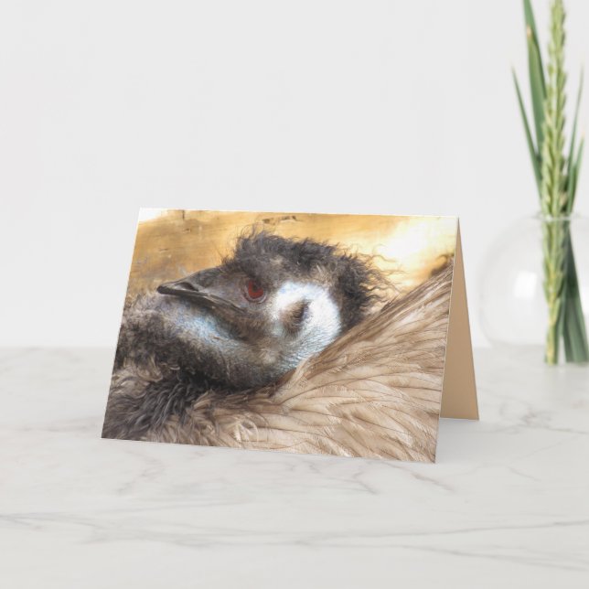 Cartão Emu Bird Greeting Card (Frente)