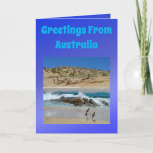 Cartão Emu e Koala australianos, aniversário