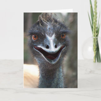 Cartão Emu que diz o HI! Abra a imagem marrom grande dos
