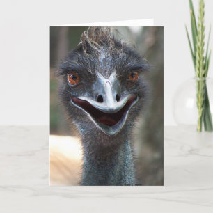 Cartão Emu saying HI! Open beak big brown eyes picture