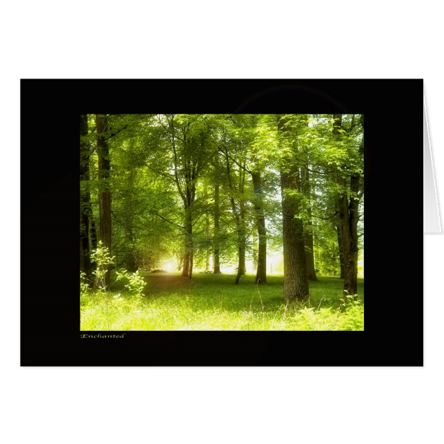 Cartão Encantado (Frente Horizontal)