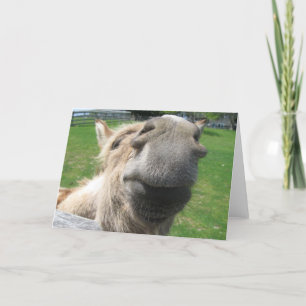 Cartão Encerre o Burro