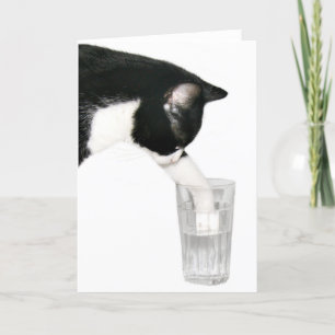Cartão Encontre-me para beber um gato
