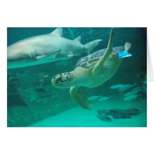 Cartão Encontre seu ponto doce (Frente horizontal)