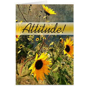 Cartão Encorajar Girassóis Antes Das Nuvens De Tempestade