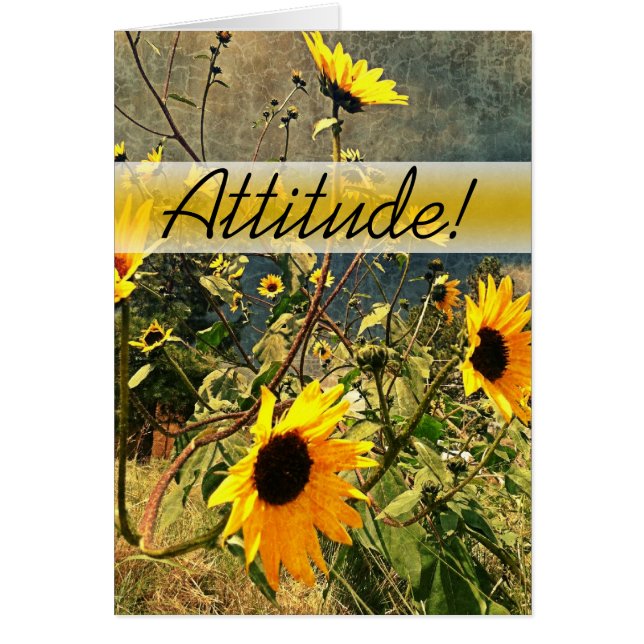 Cartão Encorajar Girassóis Antes Das Nuvens De Tempestade (Frente)