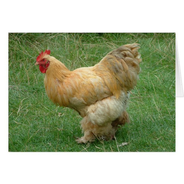 Cartão Encostar minhas coisas (Frente Horizontal)