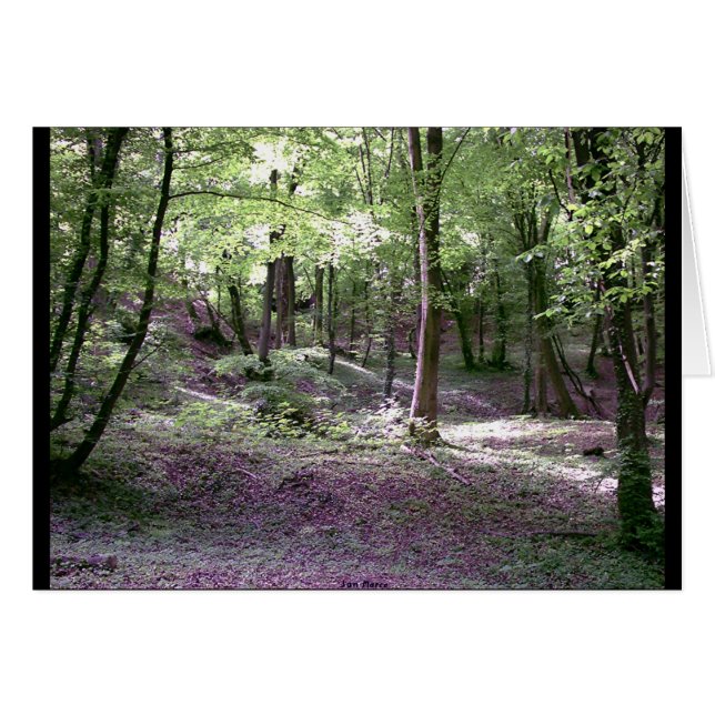 Cartão Ênfase da paz (Frente Horizontal)