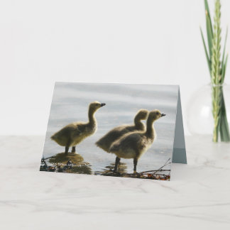 Cartão Enfrentando a luz