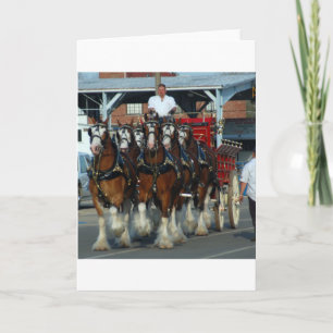 Cartão Engate de cavalo de Clydesdale 6