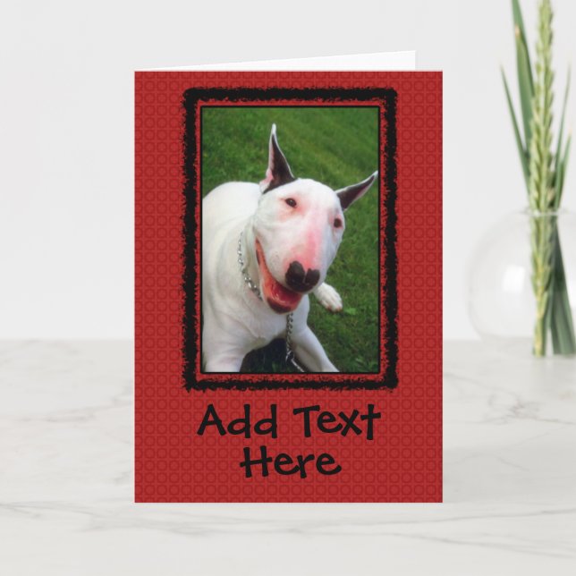 Cartão English Bull Terrier Custom Greeting Card (Frente)