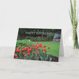 Cartão English Garden Tulips Birthday Greeting